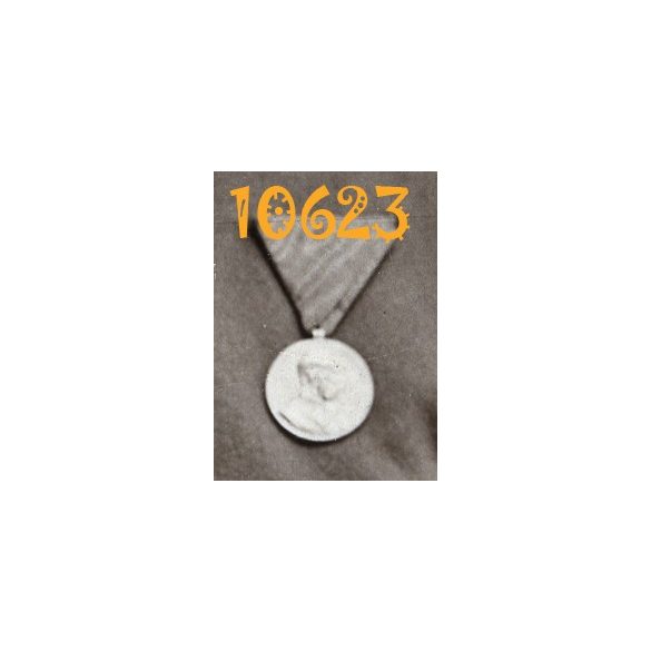 Eredeti fotó, vizitkártya, CDV, katona kitüntetéssel, I. világháború, 1910-es évek, Braun Menyhért műterme
