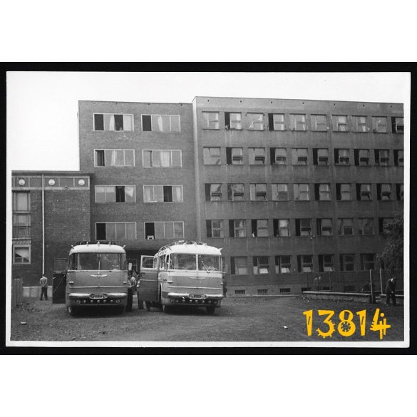 Korai Ikarus 55-ös buszok, autóbusz, jármű, közlekedés, 1950-es évek, eredeti fotó, papírkép. méret megközelítőleg (centiméterben): 6 x 9  Használt! Eredeti nagyítás! 