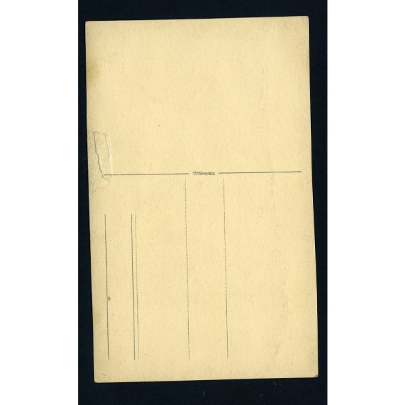 Tihanyi műterem, kézzel színezett fotó, elegáns hölgy fátyollal, 1920-as évek, Budapest,  Eredeti fotó, papírkép.