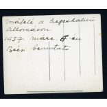 Hegyeshalom, vasútállomás, vonat, kalauz, Budapest-Bécs 1937., jármű, közlekedés. Eredeti fotó, papírkép. 