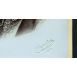 Kozics Ede műterem, elegáns hölgy, portré, Pozsony (Bratislava), 1903, Eredeti nagyméretű kabinet fotó. 