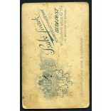 Szabó fivérek műterem, elegáns lány kerítéssel, virágokkal, különös háttér, Budapest, 1900-as évek, Eredeti CDV, vizitkártya fotó. 