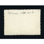 Bezeréd, szüret, mezőgazdaság, bor, kancsó, demizson, 1938, 1930-as évek, Eredeti fotó, papírkép.  