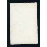 Tájkép nyírfákkal, Seenger Ida feminista aktivista jelzett fotója, 1920-as évek, Eredeti képeslap-fotó, papírkép.  