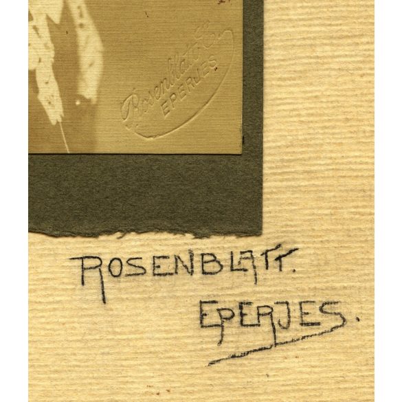 Rosenblatt műterem, Eperjes, Felvidék, elegáns hölgy portréja, 1900-as évek, Eredeti fotó, kartonra kasírozott nagyobb méretű szignózott papírkép.  