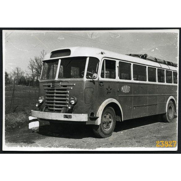 Ikarus 601 távolsági autóbusz, busz, Dobogókő, jármű, közlekedés, 1955, 1950-es évek, Eredeti fotó, papírkép.  