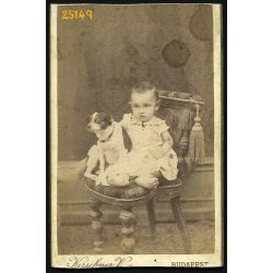   Kirschner műterem, Budapest, kislány kutyájával, 1880-as évek, Eredeti CDV, vizitkártya fotó, alul-felül vágott.   