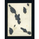 Kassa, Felvidék, Főposta épülete, városkép, autó, jármű, közlekedés, 1940-es évek, Eredeti fotó, papírkép.  