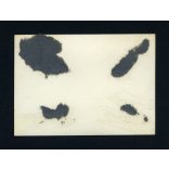 Kassa, Felvidék, utcakép a Dómmal, kerékpárral, 1940-es évek, Eredeti fotó, papírkép.  