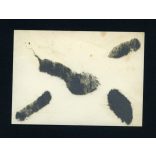 Krasznahorka, Krasznahorkaváralja,  Felvidék, vár, kastély, falu, 1940-es évek, Eredeti fotó, papírkép.  