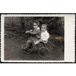 Kádár fényképész, Füzesabony, gyerekek triciklin, kerékpár, jármű, közlekedés, 1930-as évek, Eredeti fotó, papírkép.  