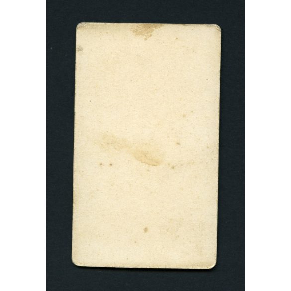 Zelesny Károly műterme, Pécs, elegáns hölgy gyönyörű portréja, 1880-as évek, Eredeti CDV, kisméretű vizitkártya fotó, 'mignon'.   