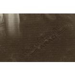 Stojkovits és Békés műterem, Arad, Erdély, elegáns lányok portréja, 1918, 1910-es évek, Eredeti fotó, papírkép.   