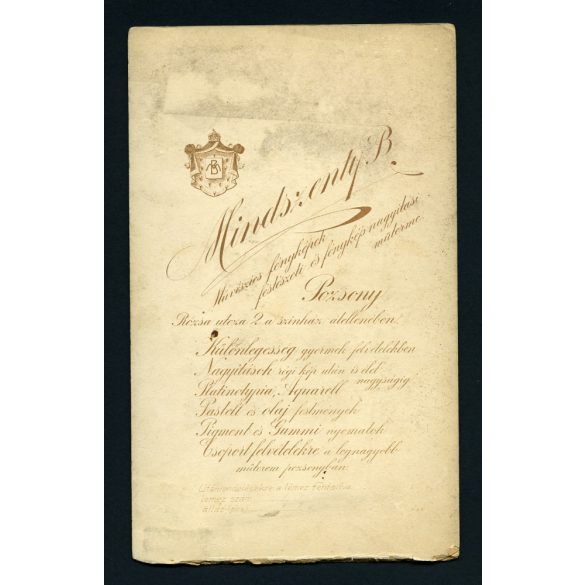 Mindszenty műterem, Pozsony, Felvidék, elegáns úr kalapban, portré, 1900-as évek, Eredeti nagyméretű (!) kabinetfotó, alja vágott.   