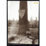 Német (?) katonai temető, katonasírok, feliratok,  1. világháború, 1910-es évek, Eredeti fotó, papírkép.   