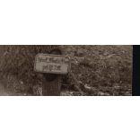 Német (?) katonai temető, katonasírok, feliratok,  1. világháború, 1910-es évek, Eredeti fotó, papírkép.   