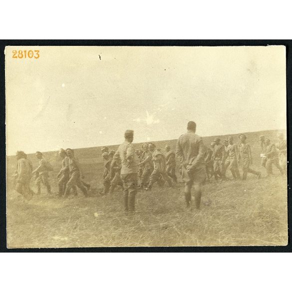 'Muszkali'. Magyar katonák orosz hadifoglyokat hajtanak, 1. világháború, egyenruha, 1916 július 5, keleti hadszíntér, 1910-es évek,  Eredeti fotó, papírkép.   