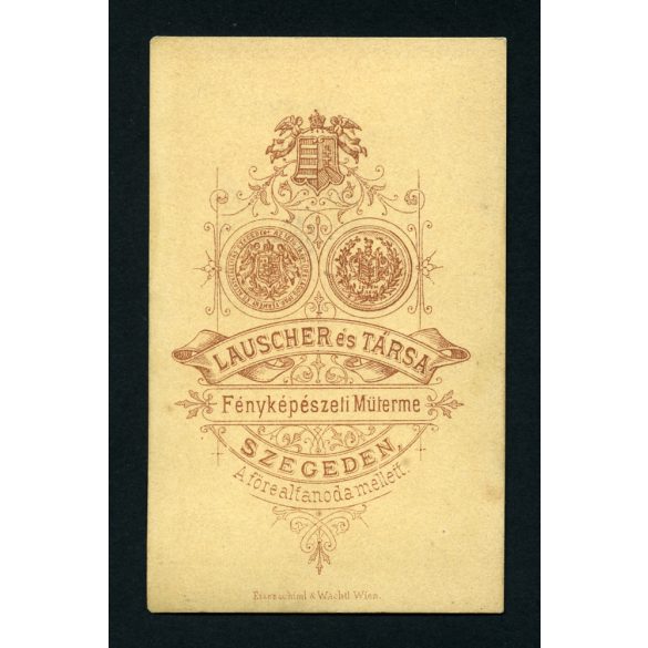 Lauscher és Társa műterem, Szeged, elegáns hölgy különös csíkos ruhában, 1870-es évek, Eredeti CDV, vizitkártya fotó.