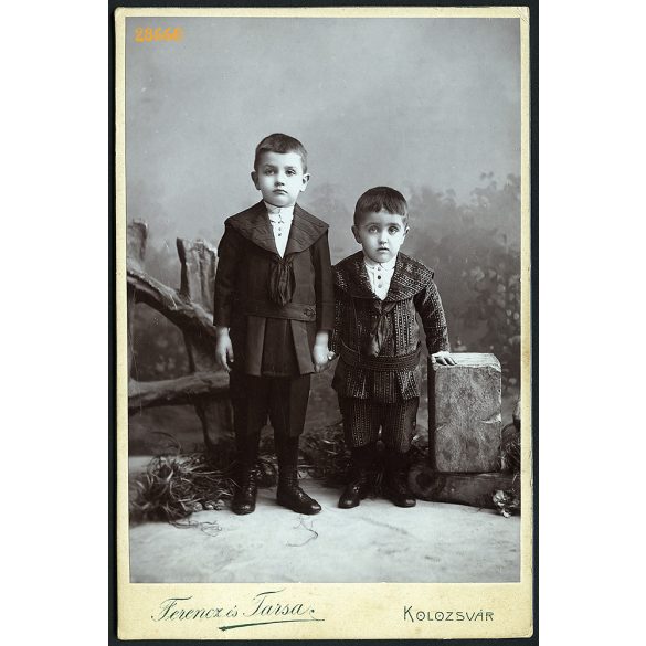 Ferencz és Társa műterem, Kolozsvár, Erdély, testvérek, elegáns gyerekek kézen fogva, különös kellékek, portré, 1890-es évek, Eredeti kabinetfotó.   