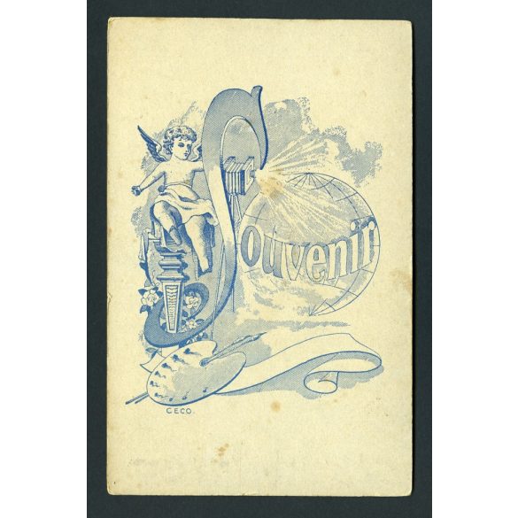 Ismeretlen műterem,  fiatal hölgy magyaros ruhában, gyöngy, ékszer, copf, portré, 1890-es évek, Eredeti kabinetfotó gyönyörű hátlappal.  