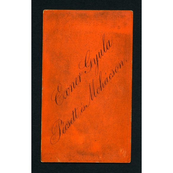 Exner Gyula műterme, Pécs, elegáns férfi bajusszal, szakállal, csokornyakkendő, 1870-es évek, Eredeti CDV, vizitkártya fotó ritka színes kartonon.   