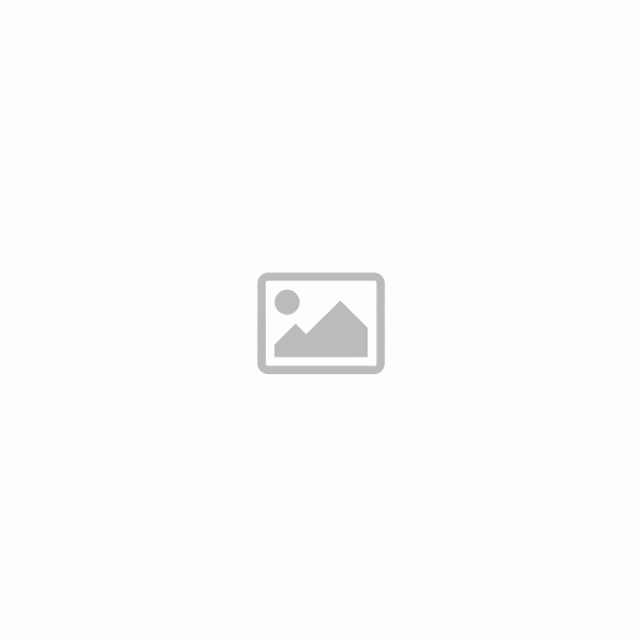 Veress műterem, Kolozsvár, Erdély,   Vörös Sándorné Simay (?) Gábriella különös viseletben, valószínűleg Vörös Sándor gazdasági akadémiai igazgató felesége, 1870-es évek. Eredeti mélynyomóval jelzett 