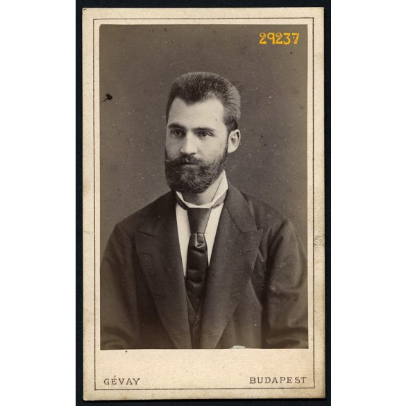 Gévay műterem, Budapest, elegáns szakállas férfi nyakkendőben, portré, 1870-es évek, Eredeti CDV, vizitkártya fotó gyönyörű hátlappal.  