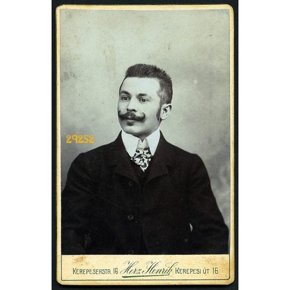 Herz műterem, Budapest, elegáns férfi bajusszal, 1890-es évek, Eredeti CDV, vizitkártya fotó.  