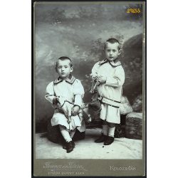   Ferencz és Társa utóda Dunky Elek műterme, Kolozsvár,  Erdély, ikrek, gyerekek játék kutyával, lóval, 1890-es évek, Eredeti kabinetfotó. 