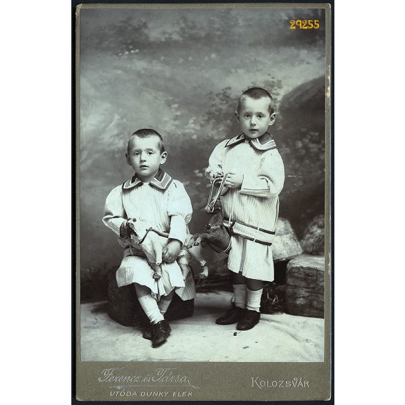 Ferencz és Társa utóda Dunky Elek műterme, Kolozsvár,  Erdély, ikrek, gyerekek játék kutyával, lóval, 1890-es évek, Eredeti kabinetfotó. 