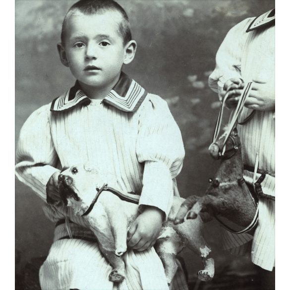 Ferencz és Társa utóda Dunky Elek műterme, Kolozsvár,  Erdély, ikrek, gyerekek játék kutyával, lóval, 1890-es évek, Eredeti kabinetfotó. 