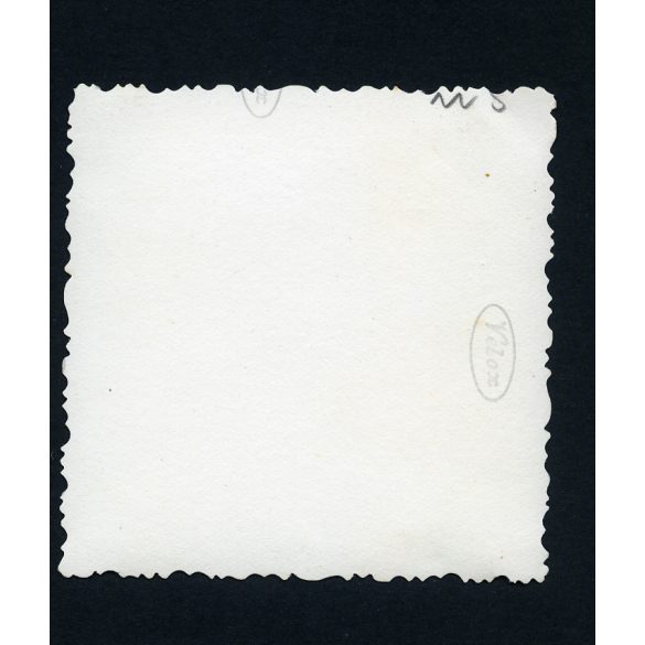 Fiat 520 Torpedo, elegáns hölgy gépkocsival, budapesti rendszám, jármű, közlekedés, 1930-as évek, Eredeti fotó, papírkép. 