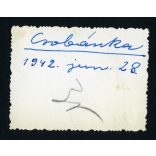 Kirándulók Csobánkán, falu, helytörténet, 1942., 1940-es évek, Eredeti fotó, papírkép. 