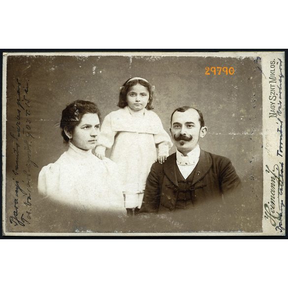 Heimann műterem, Nagyszentmiklós, Erdély, Bánság, Baranyi torontálvásárhelyi tanító és családja,  családportré, bajusz, 1903, 1900-as évek, Eredeti kabinetfotó, felületén kopásnyomok.  