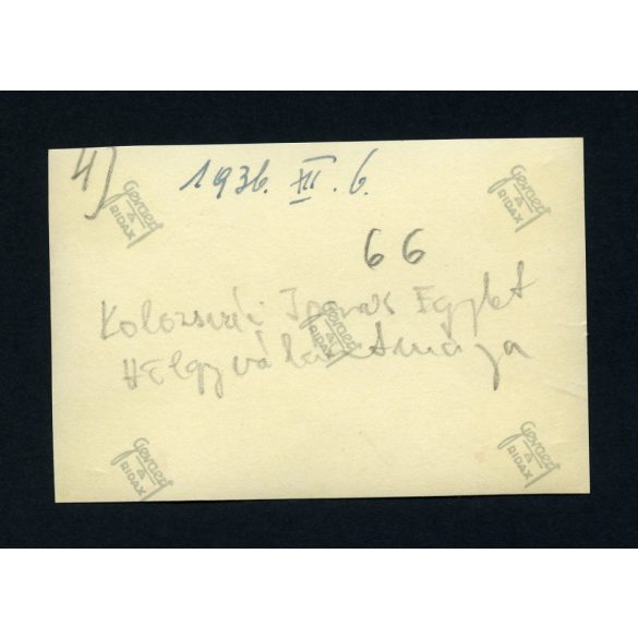 Kolozsvári Iparos Egylet Hölgyválasztmánya, Kolozsvár, Erdély, helytörténet, 1936. XII. 6, 1930-as évek, Eredeti fotó, papírkép.  