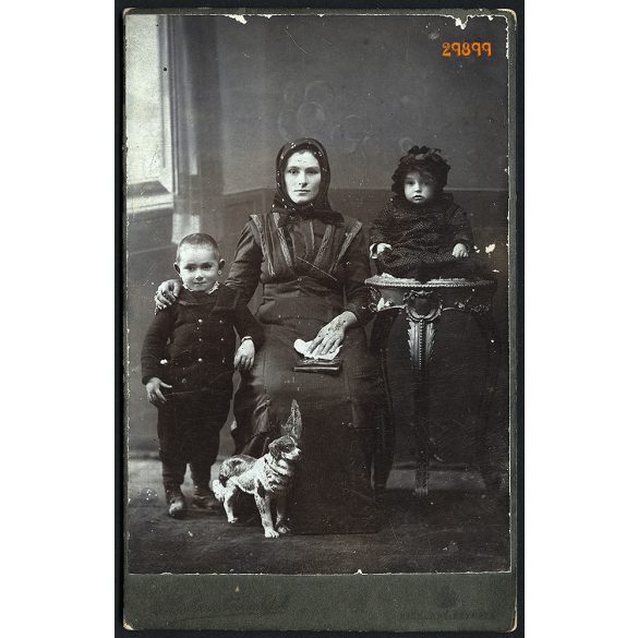 Belocerkovszky műterem, Kiskunfélegyháza, anya gyermekeivel, játék, kutya, különös, festett háttér, 1890-es évek, helytörténet,  Eredeti kabinetfotó, felső széle sérült. 