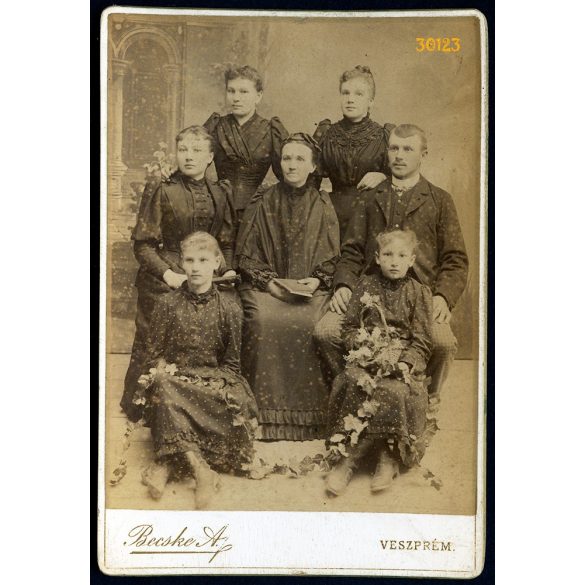 Becske műterem, Veszprém, 'Fény Kép', anya gyermekeivel, 1894., 1890-es évek, Eredeti kabinetfotó, felülete foltos.  