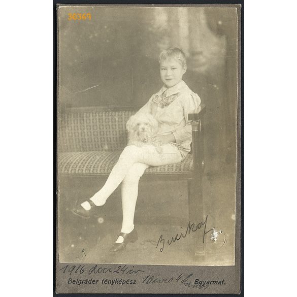 Belgráder műterem, Balassagyarmat,   kislány kiskutyával, 'Bucika' portréja, 1916, 1910-es évek,Eredeti kabinetfotó.  
