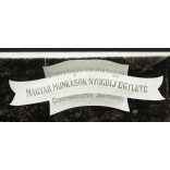 Magyar Munkások Nyugdíj Egylete, szakállas férfiak bottal, Debrecen, 1910-es évek, Eredeti fotó, papírkép.  