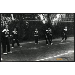   A Vörös Meteor röplabdacsapata, sport, 1960-as évek, Eredeti fotó, papírkép. 