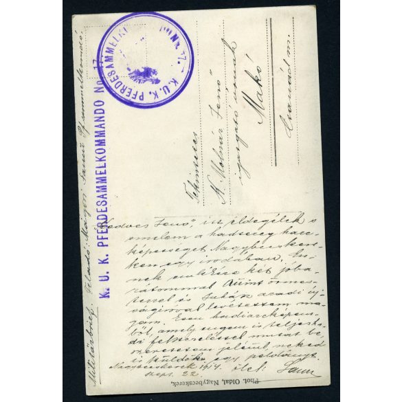 Oldal műterem, Nagybecskerek, Vajdaság, magyar katonák Juhász aradi újságíróval, egyenruha, kard, fegyver, 1. világháború,1914, 1910-es évek, Eredeti fotó, papírkép, tábori posta. 