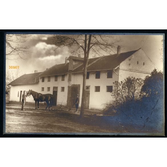 Makó, Gazdasági Népiskola, tangazdaság, ló, eke, mezőgazdaság, helytörténet, 1920-as évek, Eredeti fotó, papírkép, hátulján ragasztásnyomokkal.  
