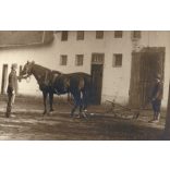 Makó, Gazdasági Népiskola, tangazdaság, ló, eke, mezőgazdaság, helytörténet, 1920-as évek, Eredeti fotó, papírkép, hátulján ragasztásnyomokkal.  