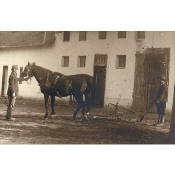Makó, Gazdasági Népiskola, tangazdaság, ló, eke, mezőgazdaság, helytörténet, 1920-as évek, Eredeti fotó, papírkép, hátulján ragasztásnyomokkal.  
