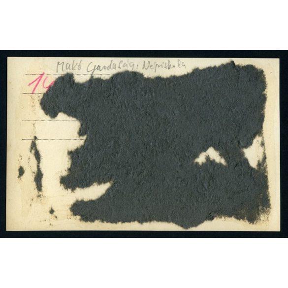 Makó, Gazdasági Népiskola, tangazdaság, ló, eke, mezőgazdaság, helytörténet, 1920-as évek, Eredeti fotó, papírkép, hátulján ragasztásnyomokkal.  