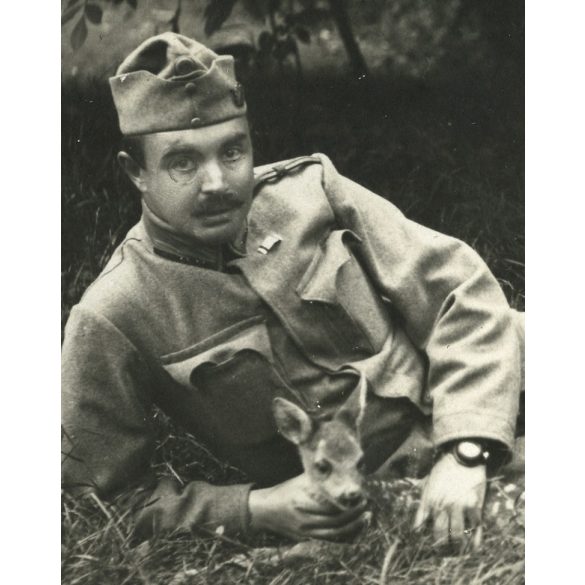 Magyar katona egyenruhában, órával, őzikével, Debrecen, 1. világháború, 1916, 1910-es évek, Eredeti fotó, papírkép. 