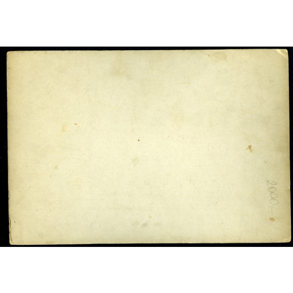 Nagy méret (18x26.5) Kossak műterem, elegáns házaspár portréja, bajusz, virág, 1890-es évek, Eredeti nagyméretű (!) kabinetfotó, dekorációnak is kiváló.  