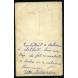 Ninics műterem, Pancsova, Vajdaság, Bánság, katona szakácsnéjával, egyenruha, bajusz, 1. világháború, festett háttér, 1915, 1910-es évek, Eredeti fotó, papírkép. 