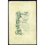 Fürst Viktor műterme, Ruma, Árpatarló, Szerémség, Vajdaság, szakállas úr portréja, 1890-es évek, Eredeti kabinetfotó.   