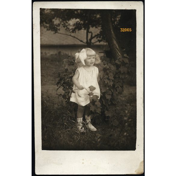 "Minerva" Fényképészete, Pécel (India), kislány a kertben masnival, portré, Pest megye, helytörténet, 1930-as évek, Eredeti fotó, pecséttel jelzett papírkép. 